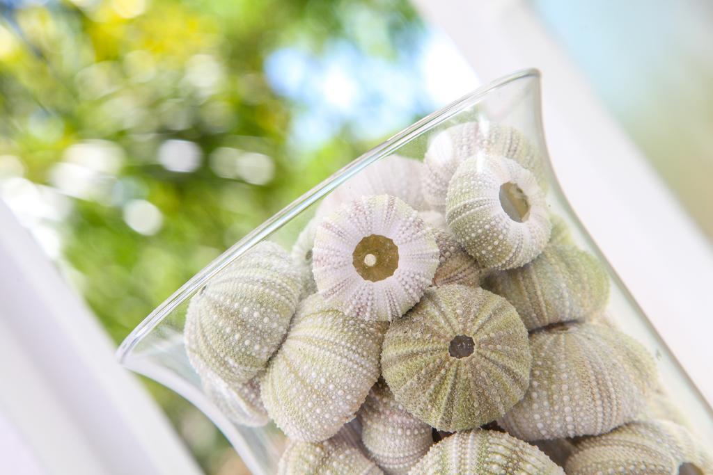 Hunneyball House Stellenbosch Phòng bức ảnh