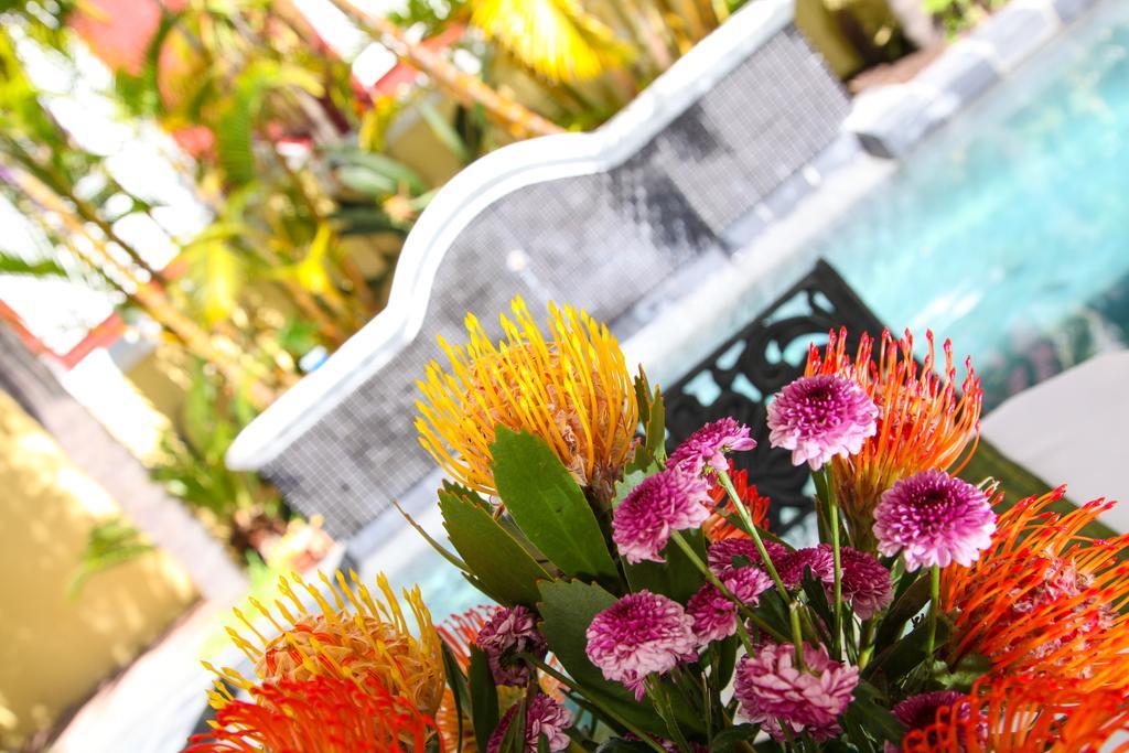 Hunneyball House Stellenbosch Ngoại thất bức ảnh