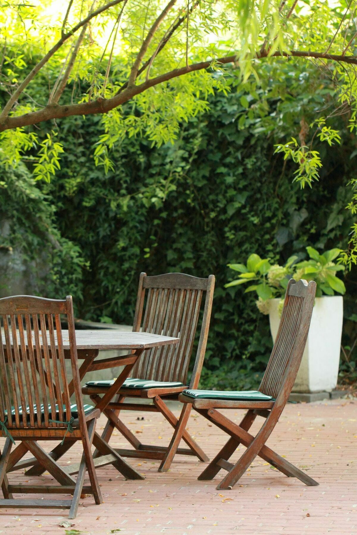 Hunneyball House Stellenbosch Ngoại thất bức ảnh